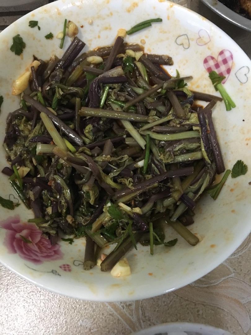 凉拌蕨菜