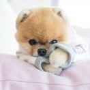 bettyyang0904