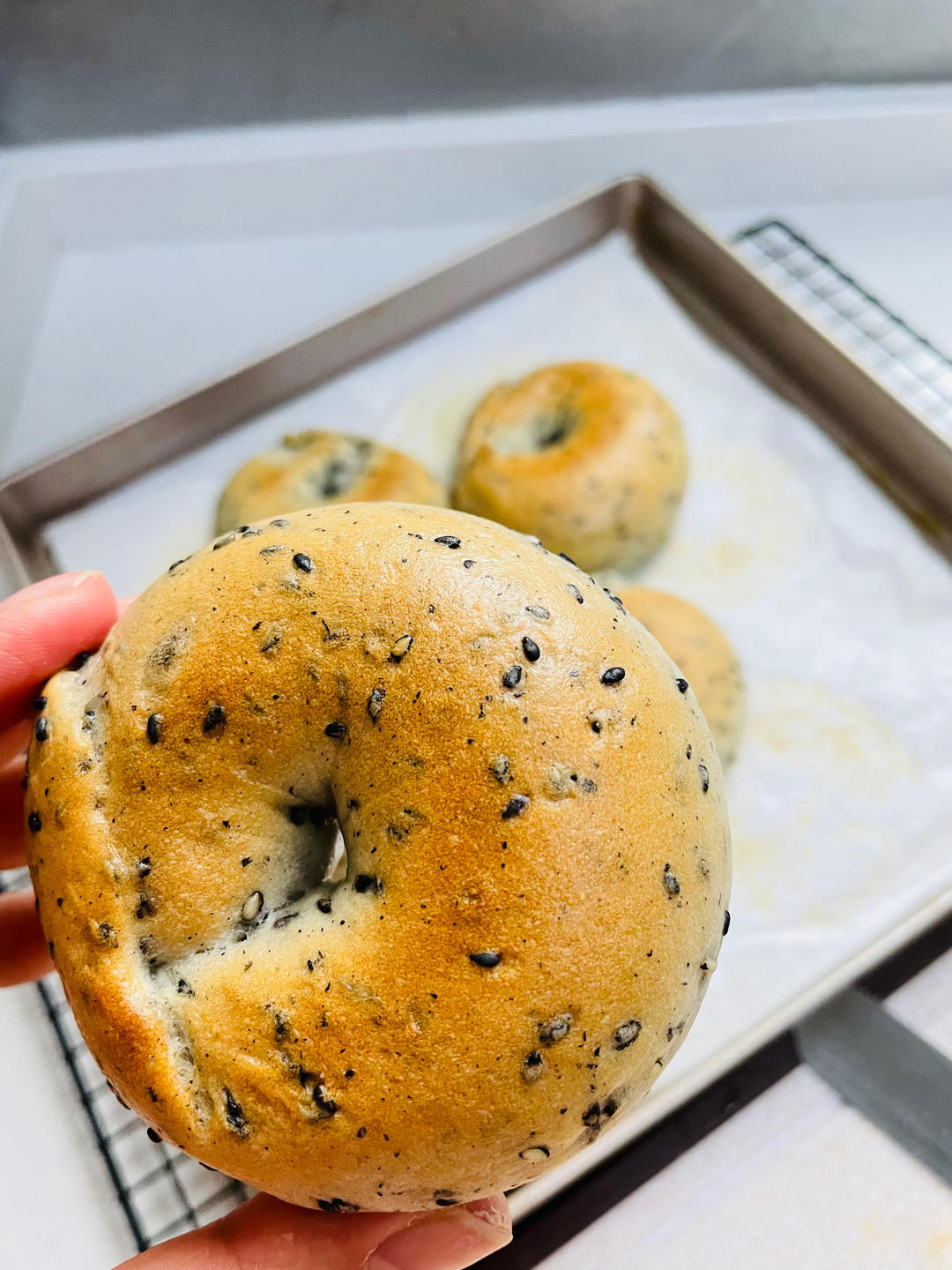 原味贝果🥯/黑芝麻贝果🥯