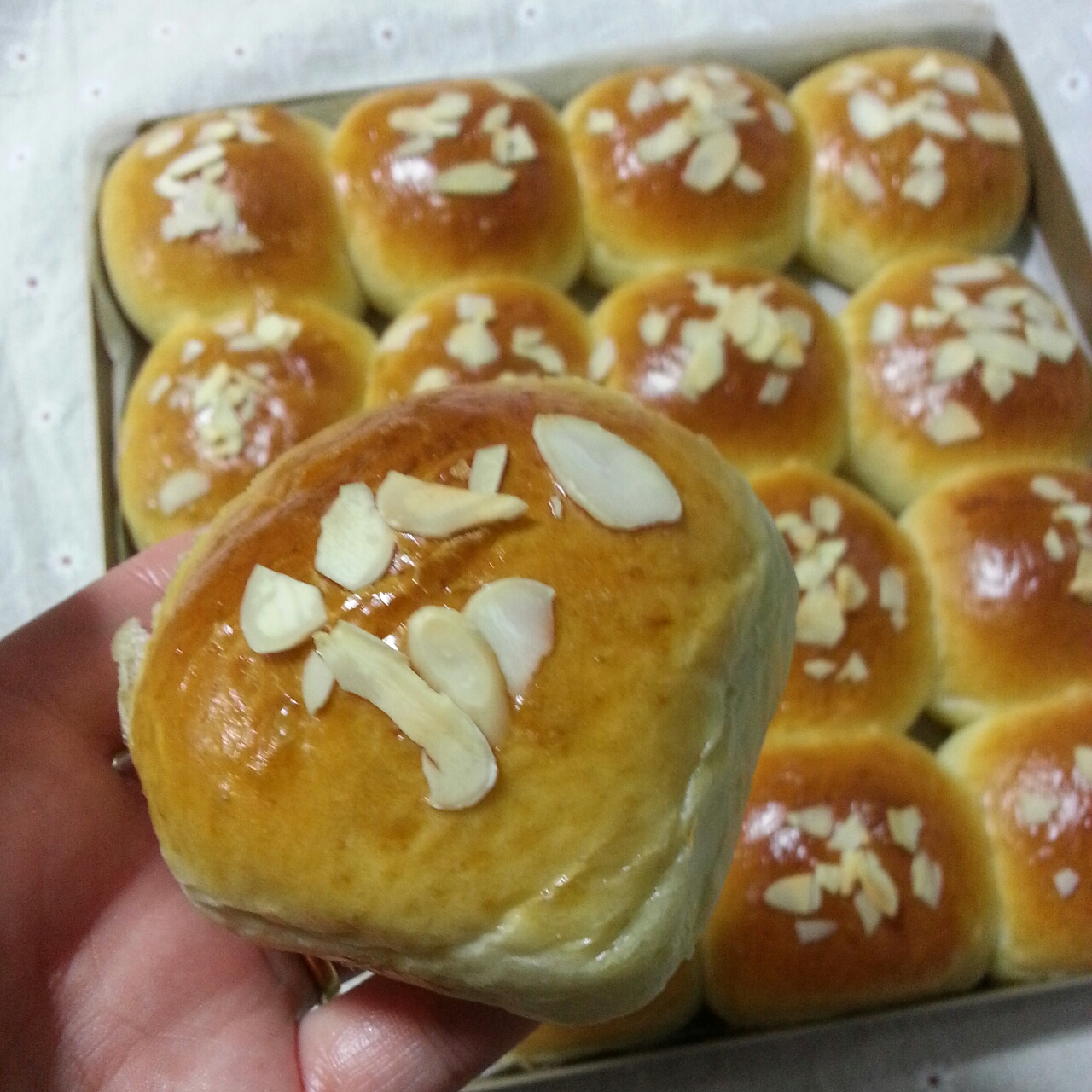 鲜奶油小餐包（一次发酵）