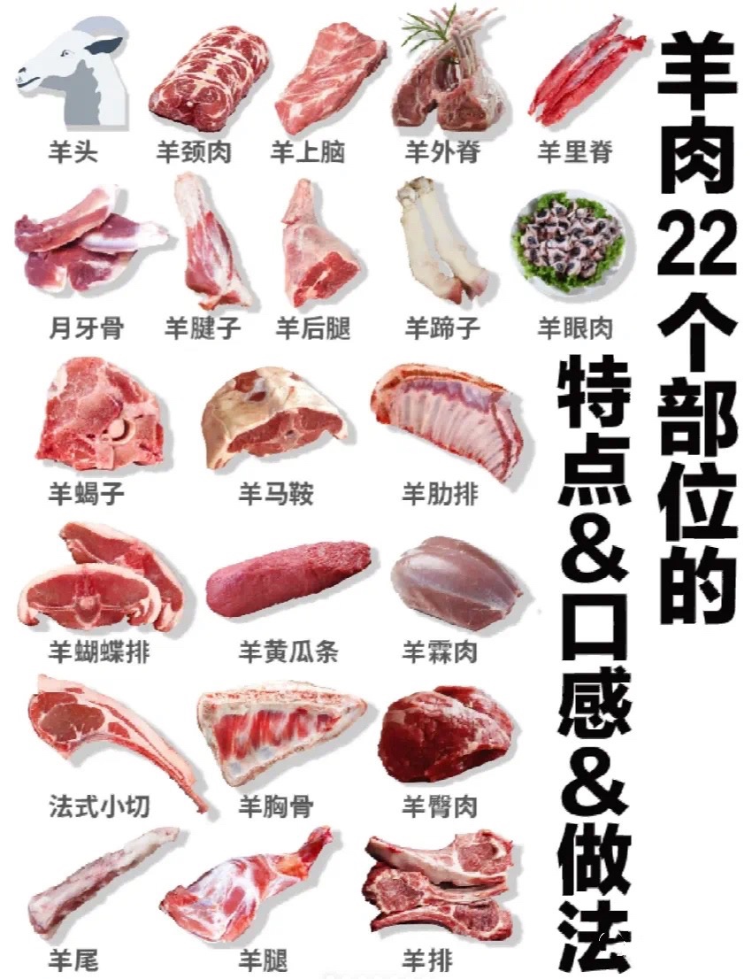 羊肉22个部位吃法