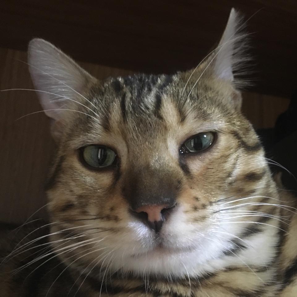 一天到晚哈哈哈小姐