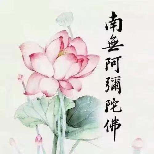 南无阿弥陀佛F
