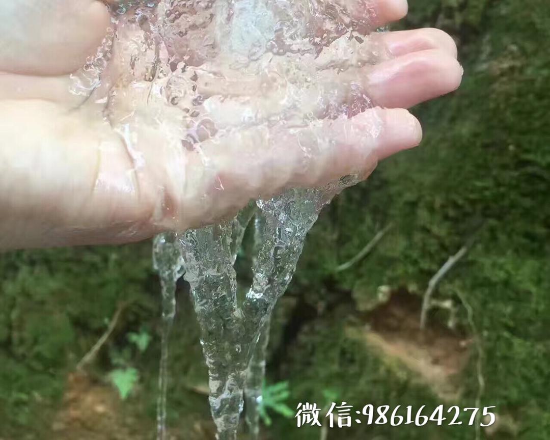 红枣枸杞炖雪燕