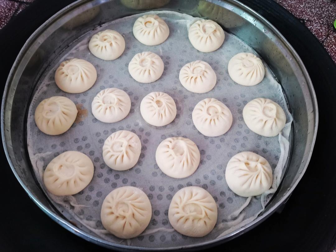 一次发酵肉包子