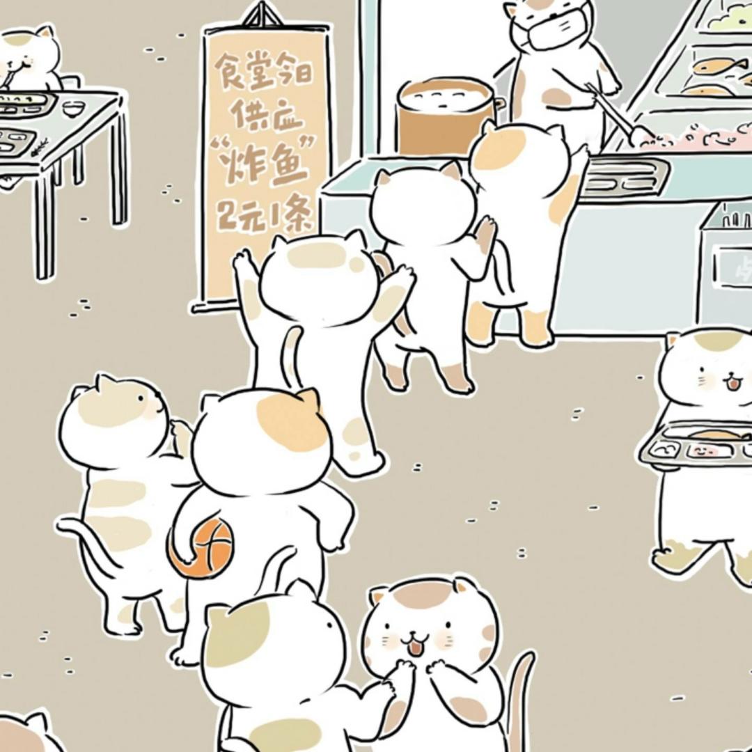 咪就是猫就是咪