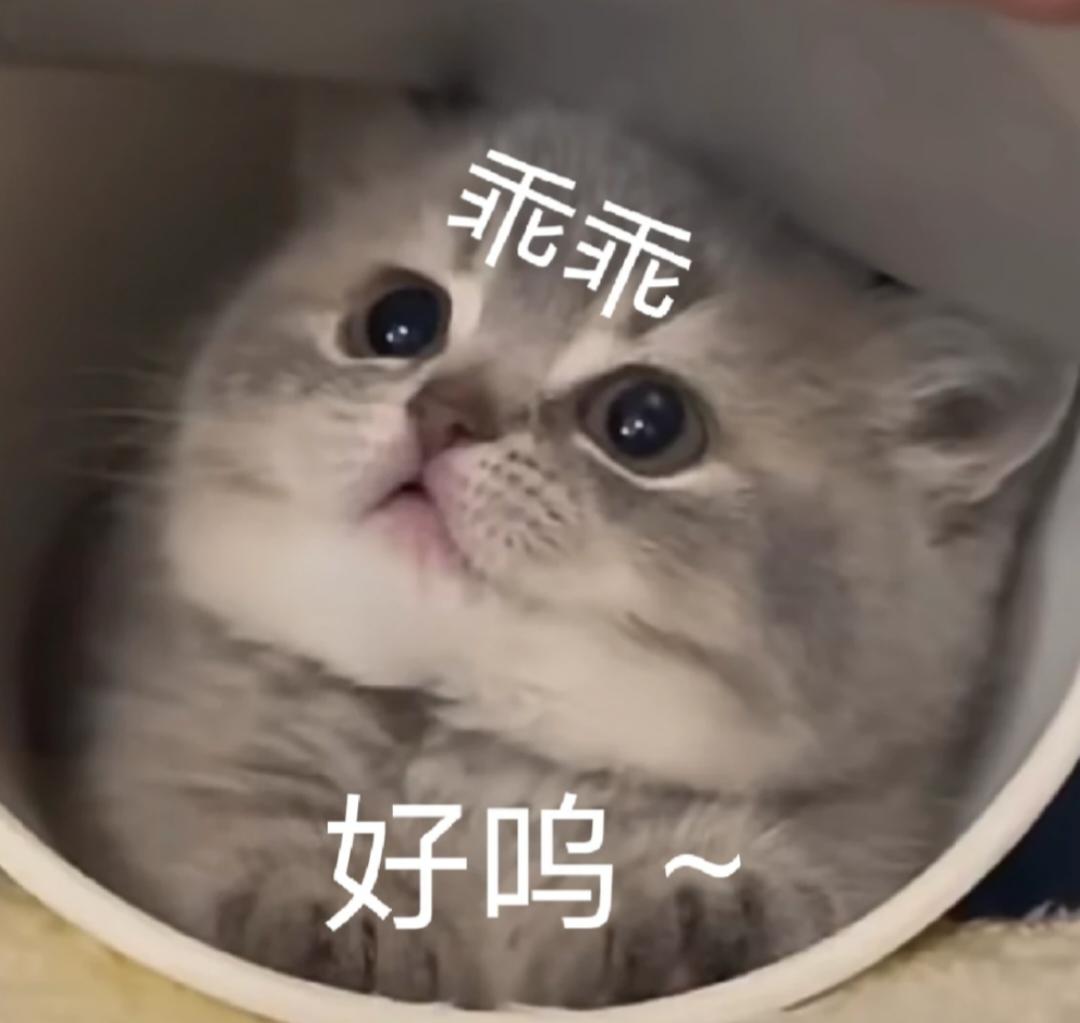 江江锵锵江江