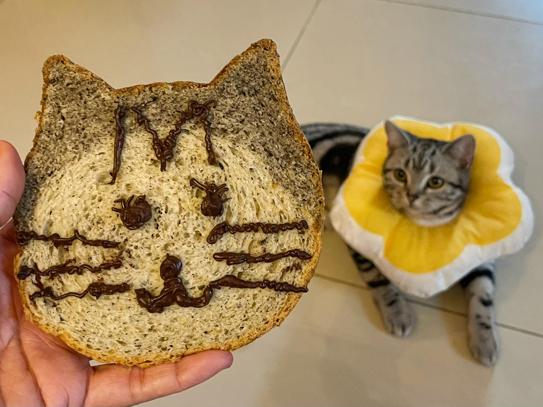 风靡日本的猫咪吐司🍞——龙猫吐司