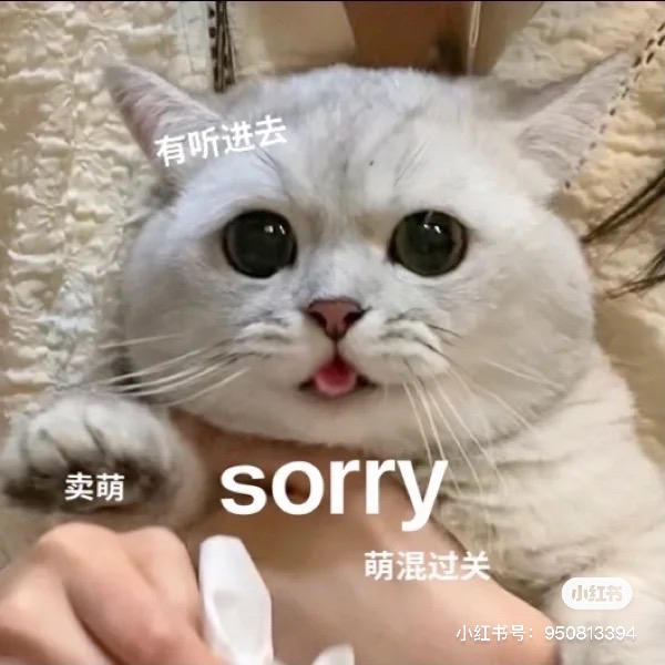 嘿嘿灰