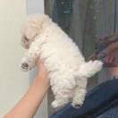 圆方_9kzw