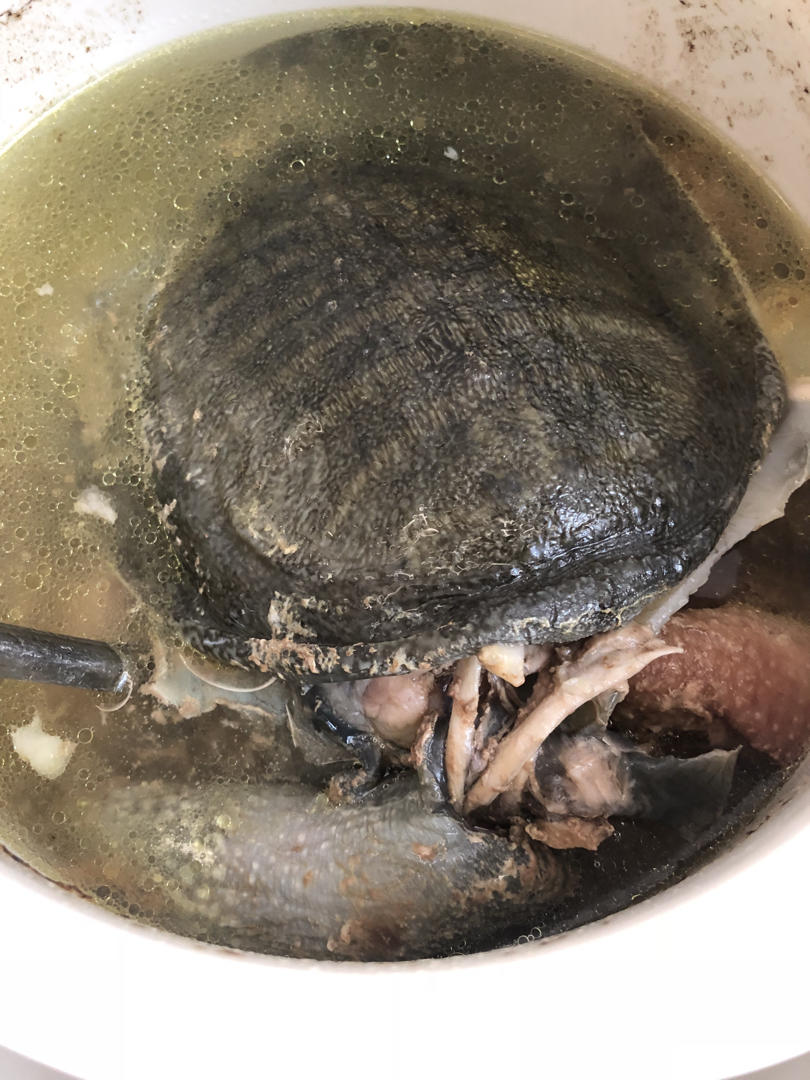 甲鱼炖鸡