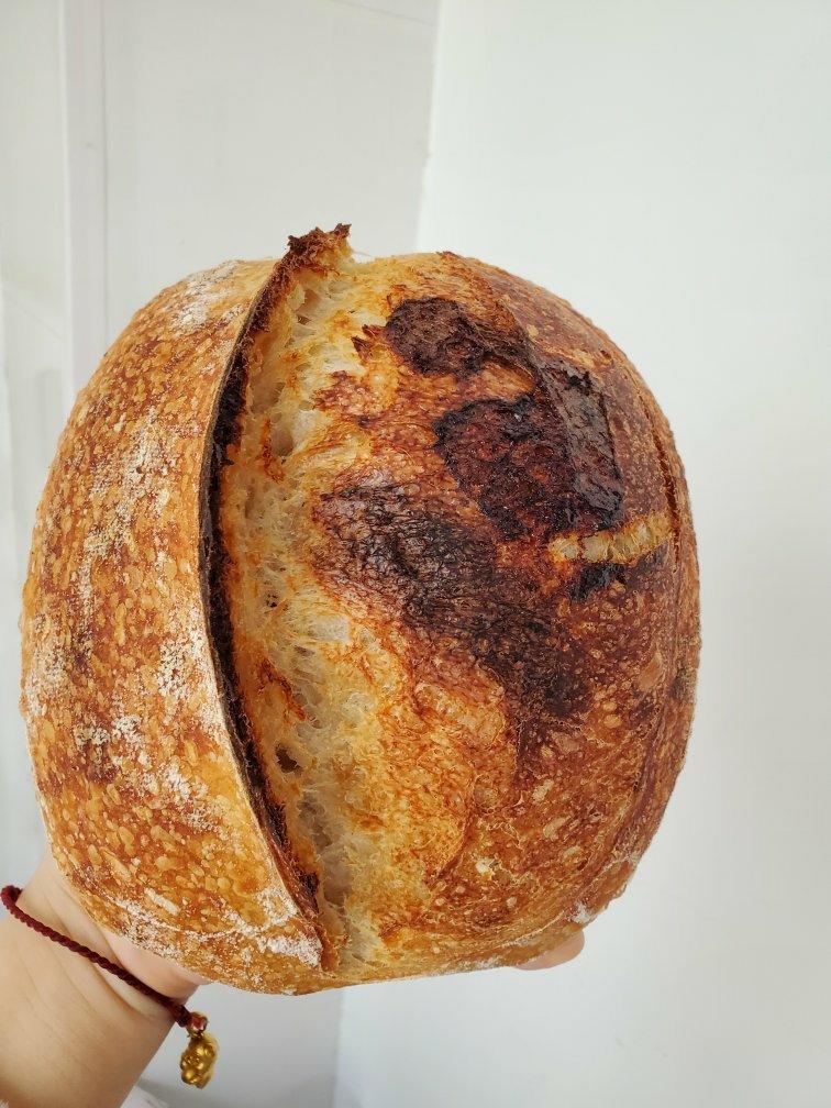 【硬欧笔记】GirlMeetsBread「Sourdough Notebook」