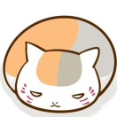 大喵MOCO
