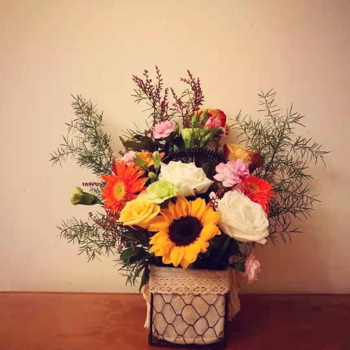菜园插花