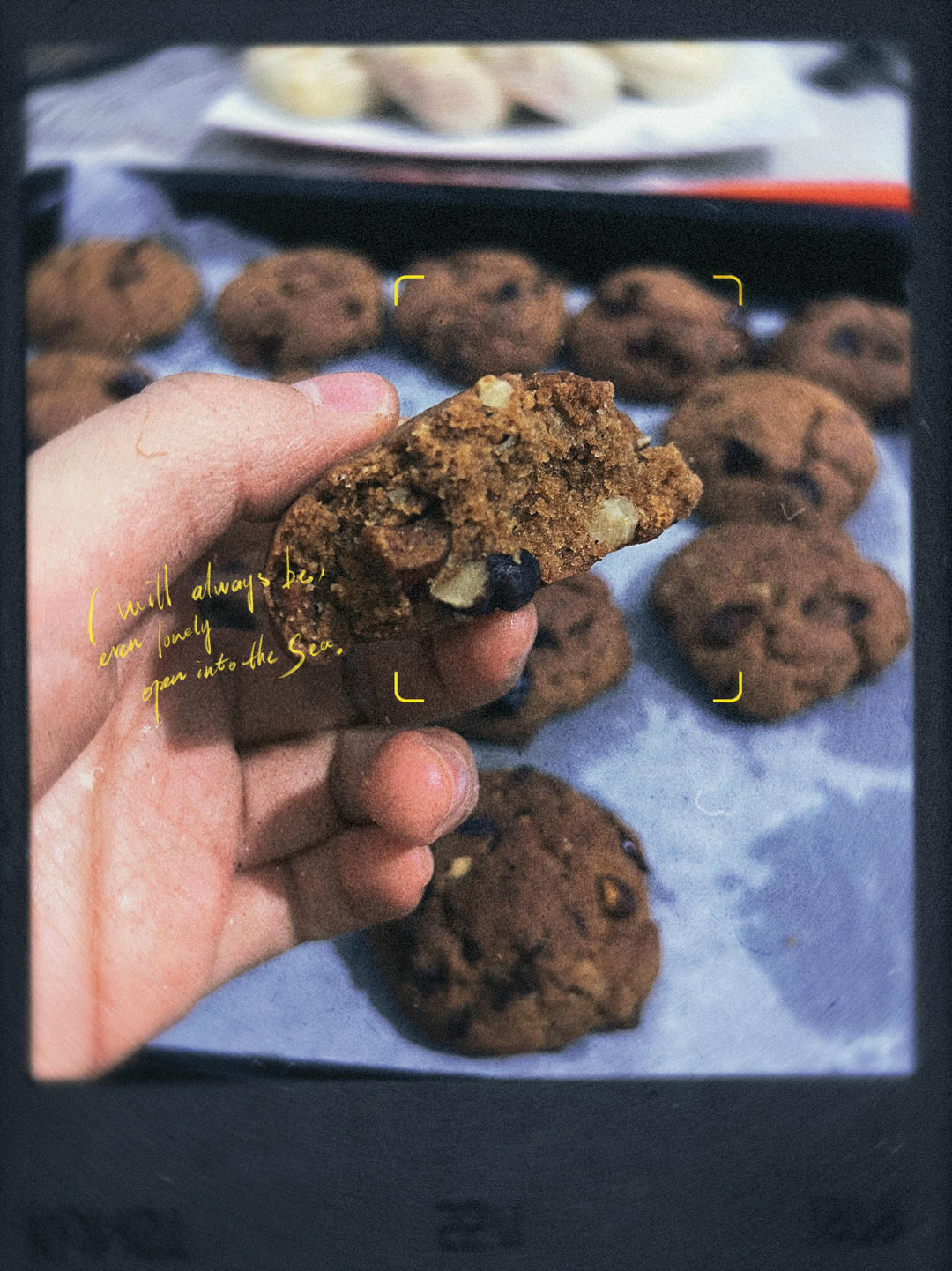 红枣红糖核桃饼干