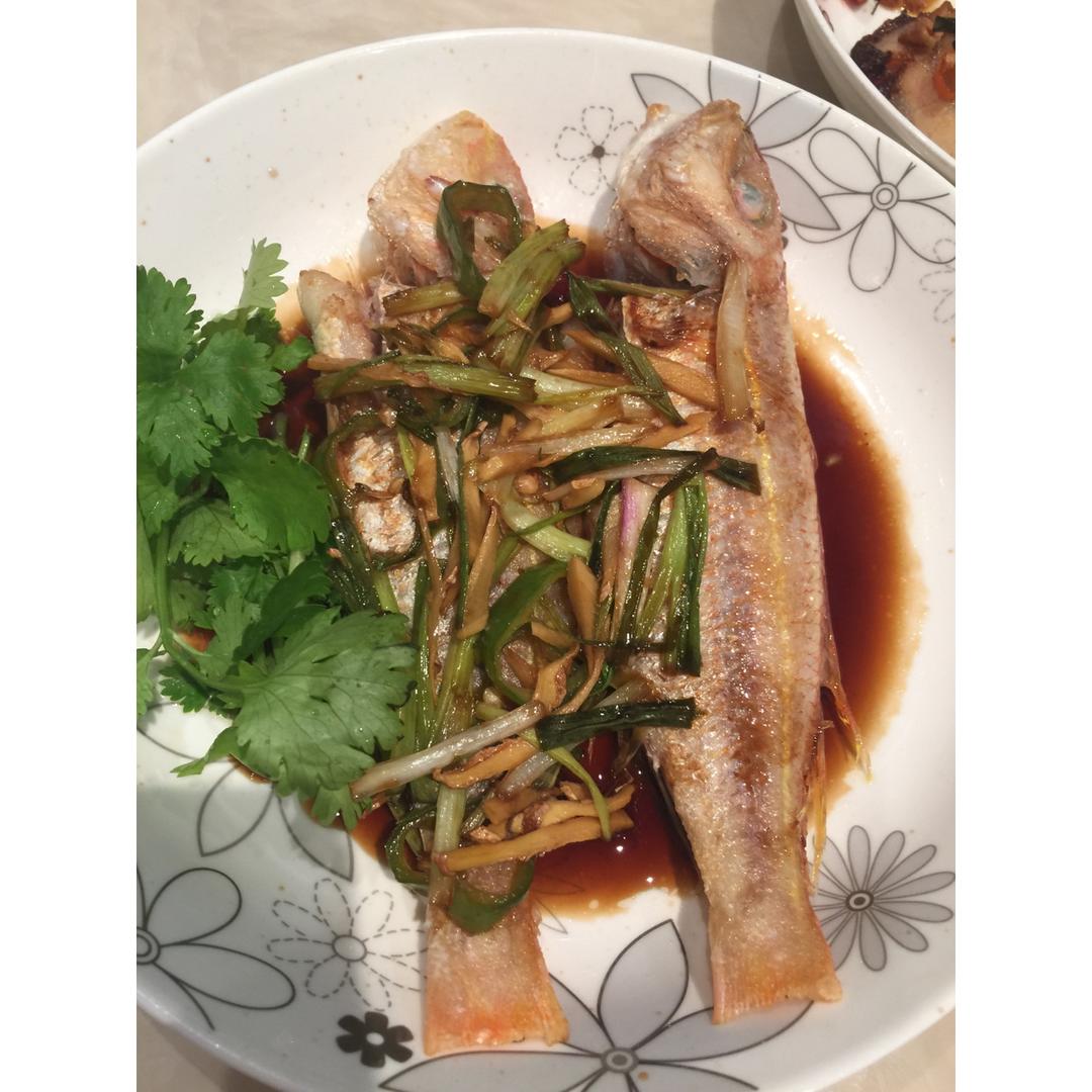 红杉鱼