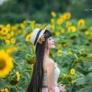 手机用户8306_4yv2