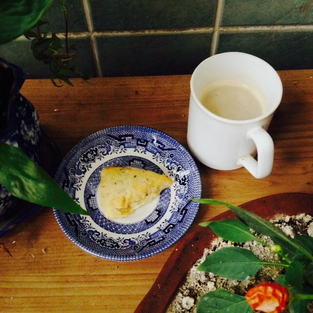 朴素的椰子油咸司康<Coconut Oil Biscuits>