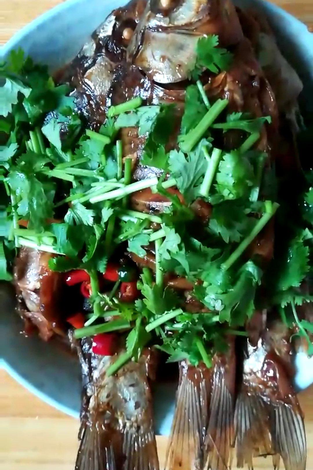 手机用户0105_gsjx做的家常炖鱼 啤酒鱼