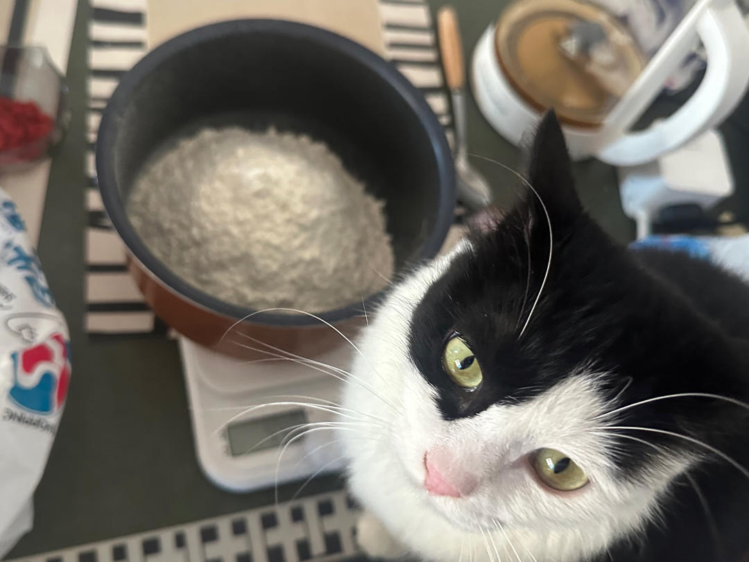 【唐顿庄园食谱】威尔士蛋糕🏴󠁧󠁢󠁷󠁬󠁳󠁿-不一样的司康【附干货满满的标准英式司康配方】