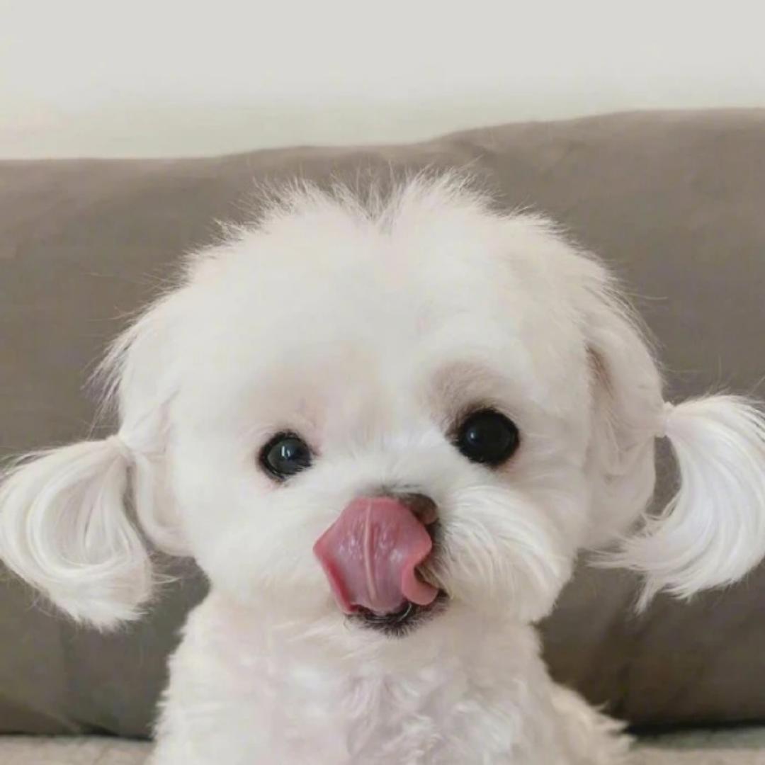 想要吃胖胖