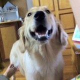 Oh_nana_yo_猪腿妹