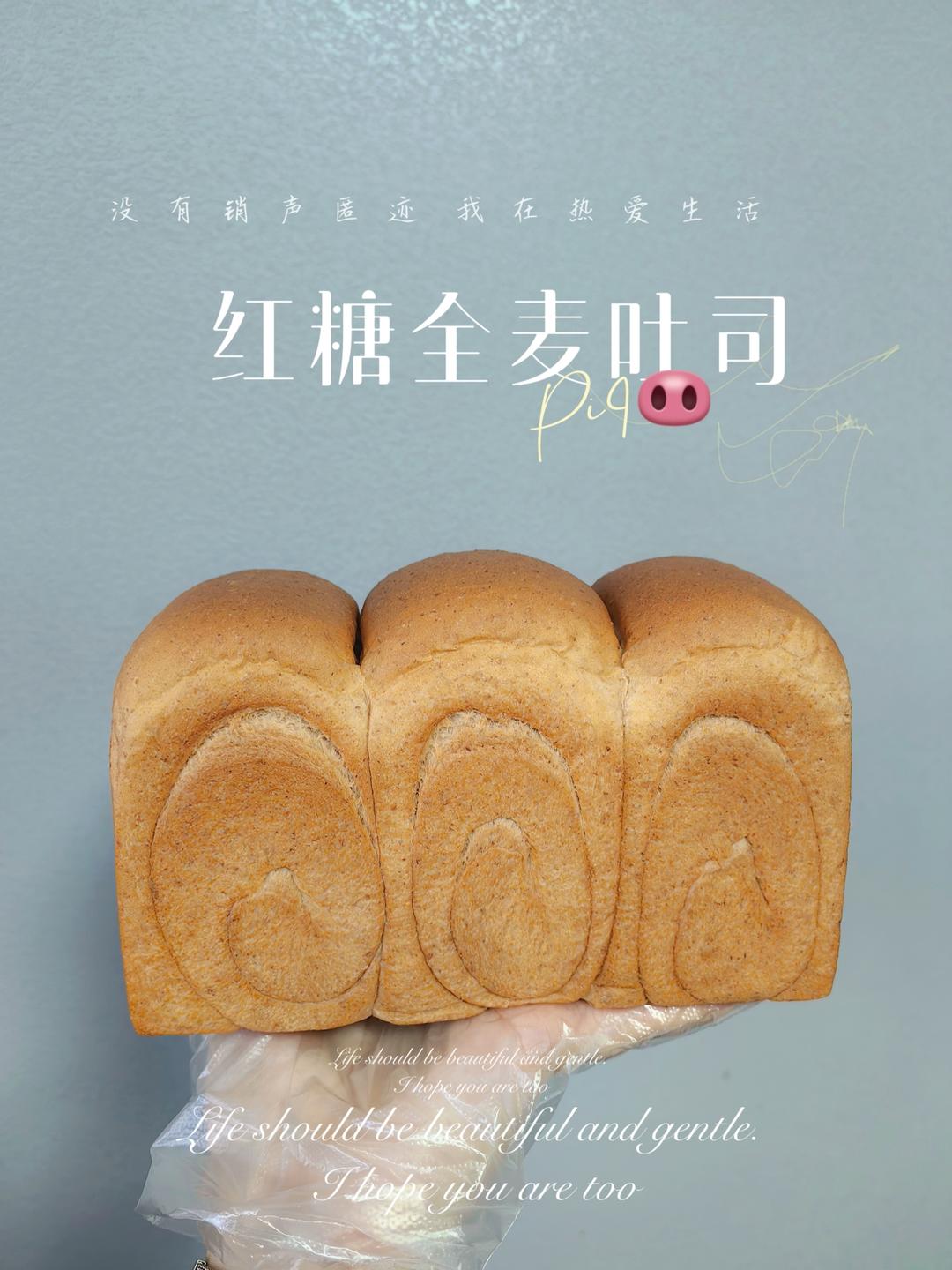 超柔软｜65度汤种｜全麦吐司｜目前为止吃过最好吃的全麦吐司没有之一