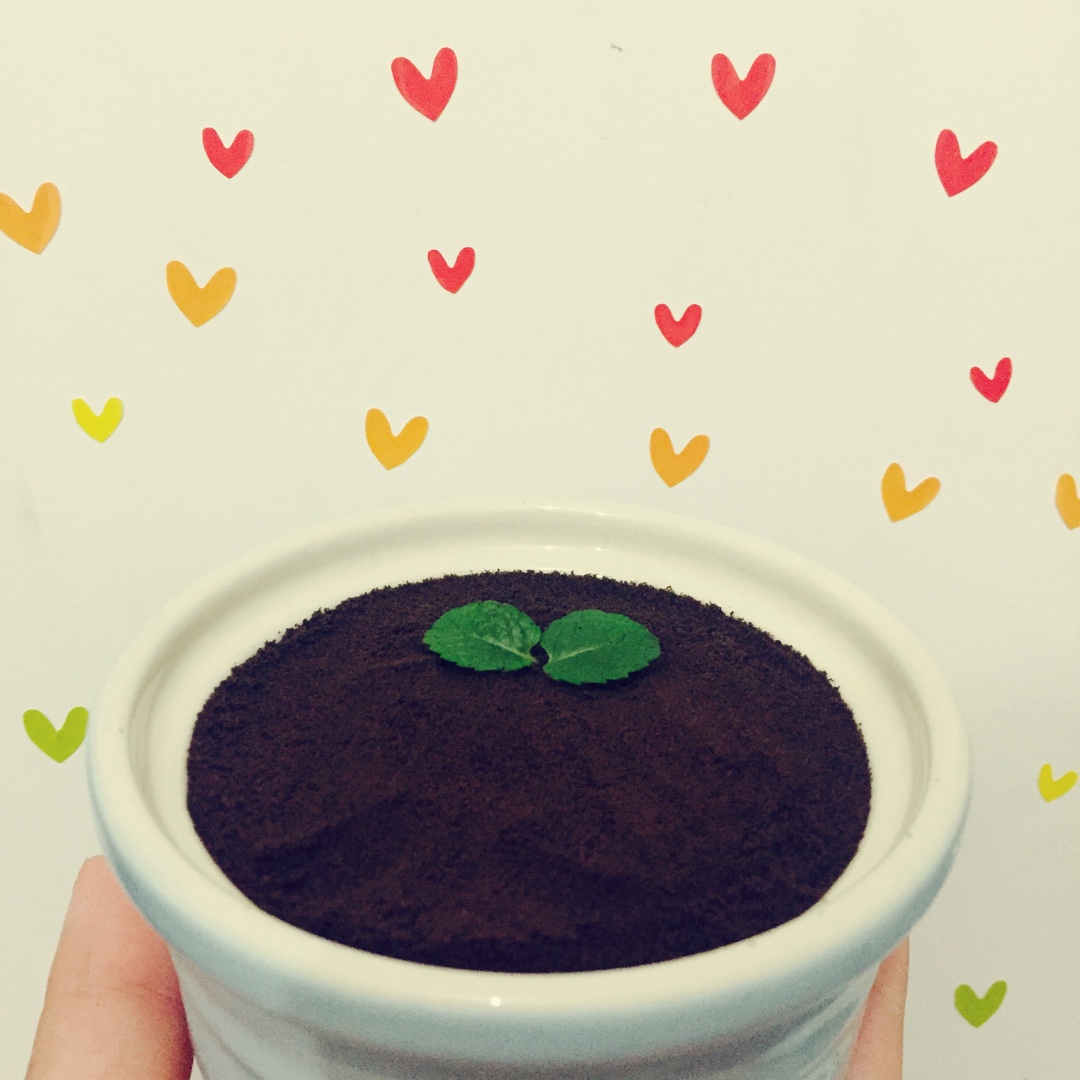 改良进阶二合一版盆栽木糠杯