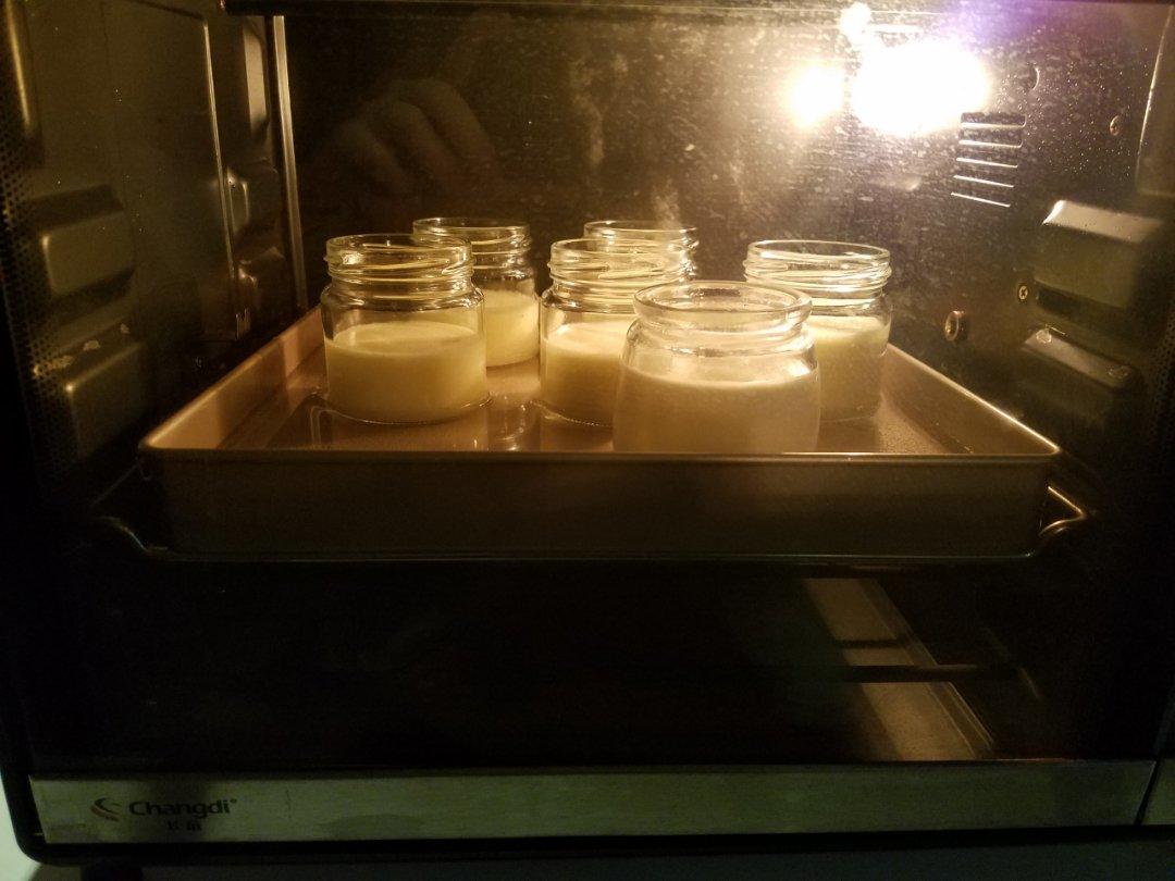 经典奶酪布丁