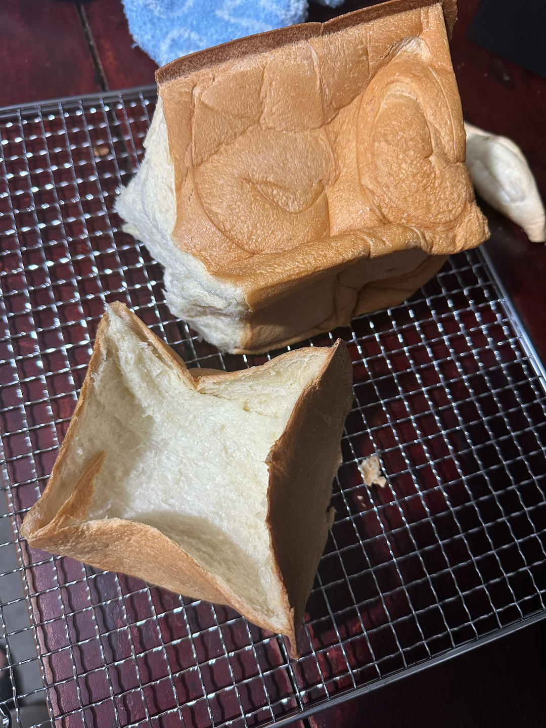 夺命软吐司(๑´ڡ`๑)超软拉丝极速方便的一次发酵吐司