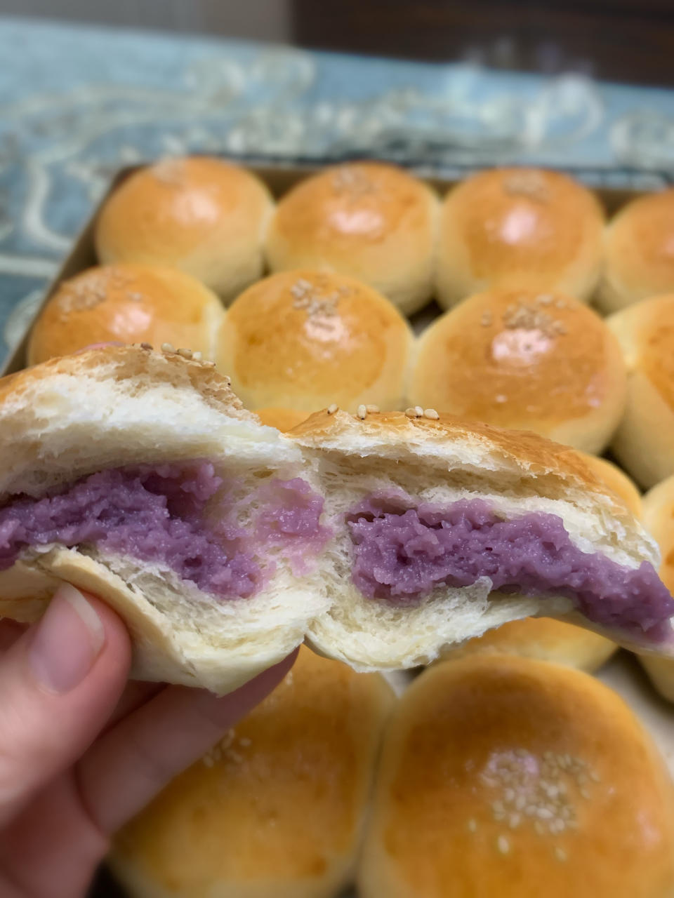 鲜奶油小餐包（一次发酵）