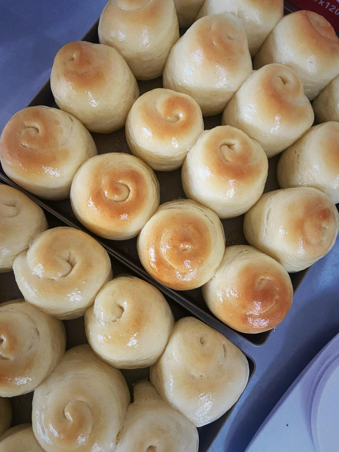 蜂蜜脆底小面包