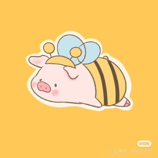 小猪bee
