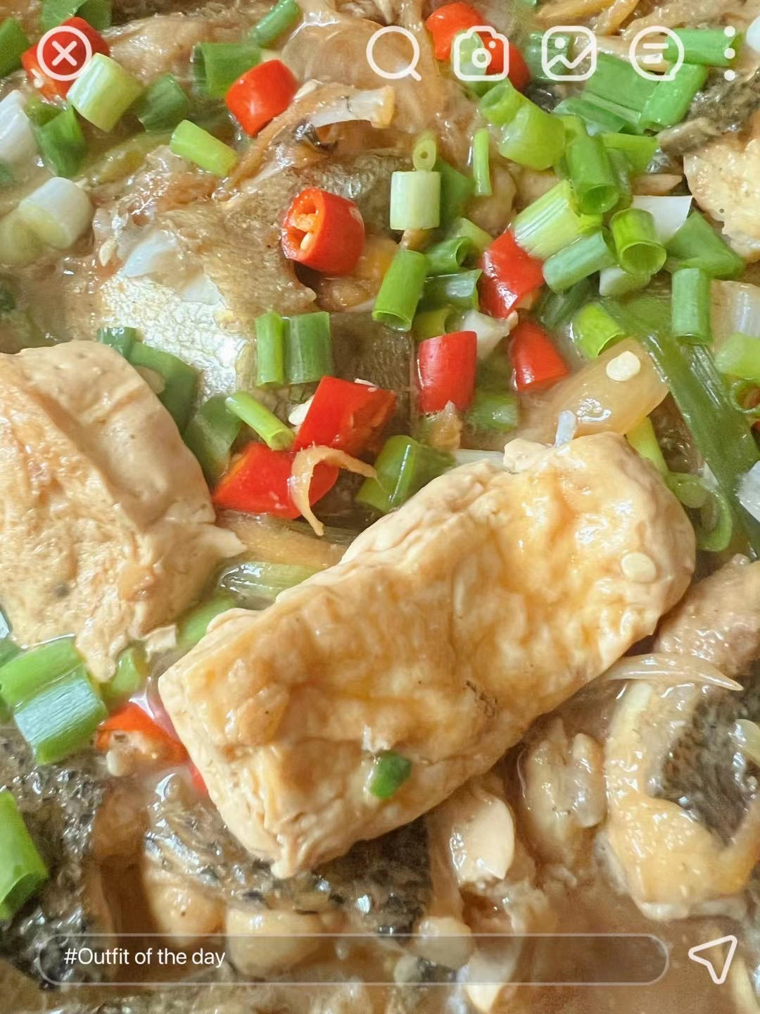 鲜嫩豆腐鲈鱼煲
