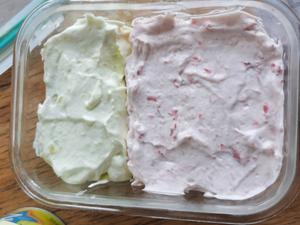 奶油冰淇淋（无蛋，消耗淡奶油）的做法 步骤6