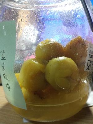 【观察日记】青梅酒/青梅醋/青梅露/盐渍酸梅的做法 步骤22