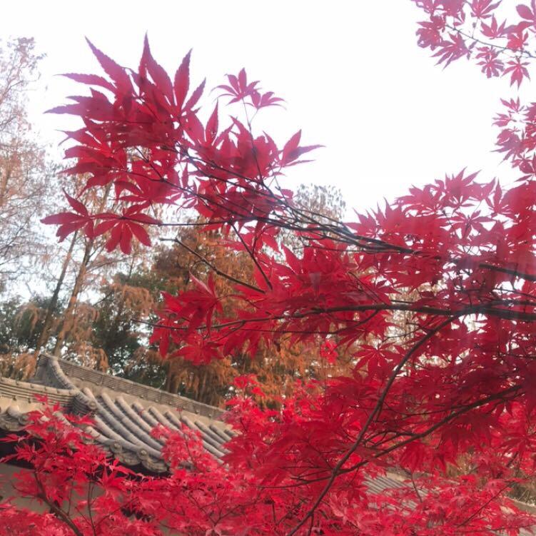 書文