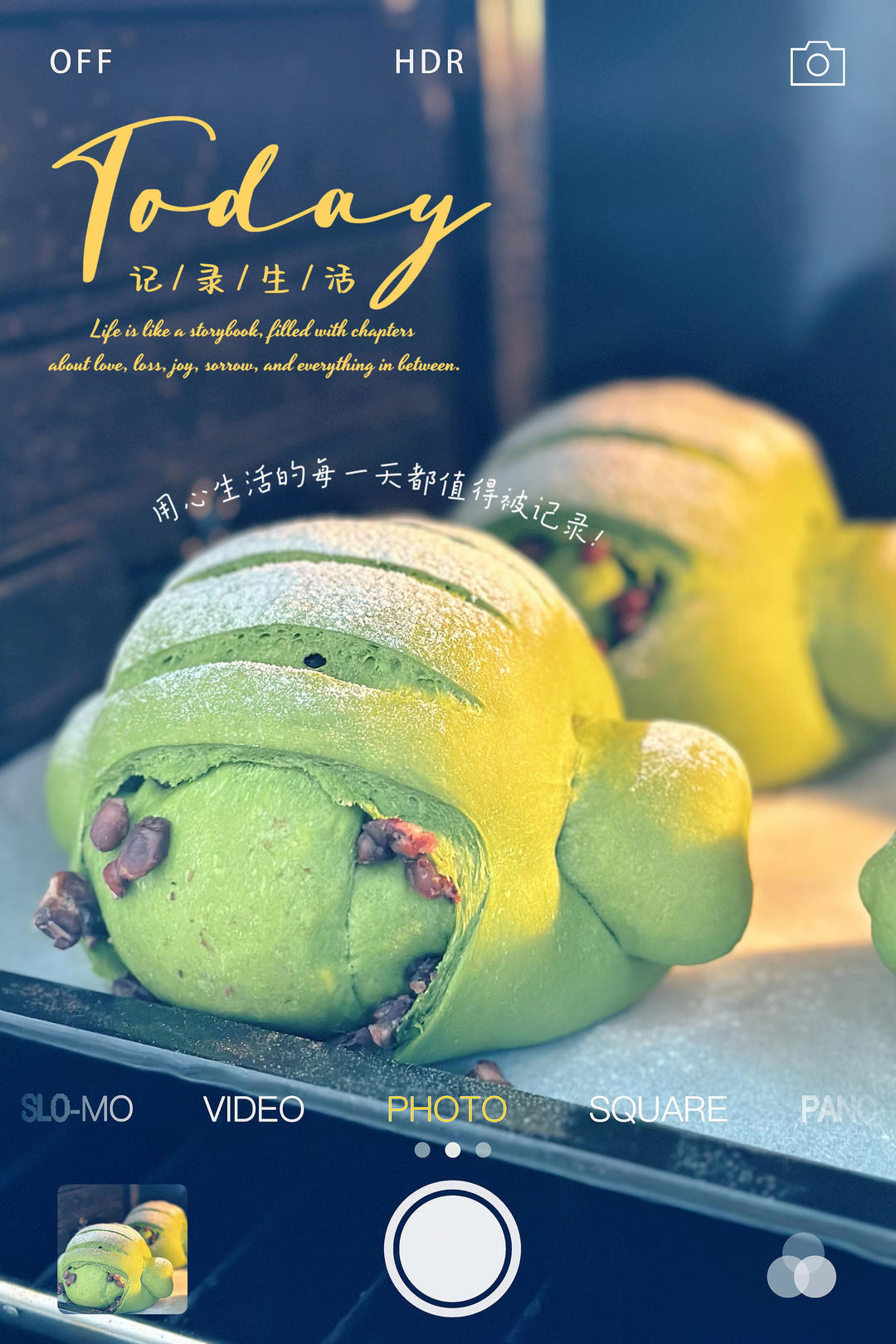 柔软的像云朵~抹茶红豆牛奶哈斯面包