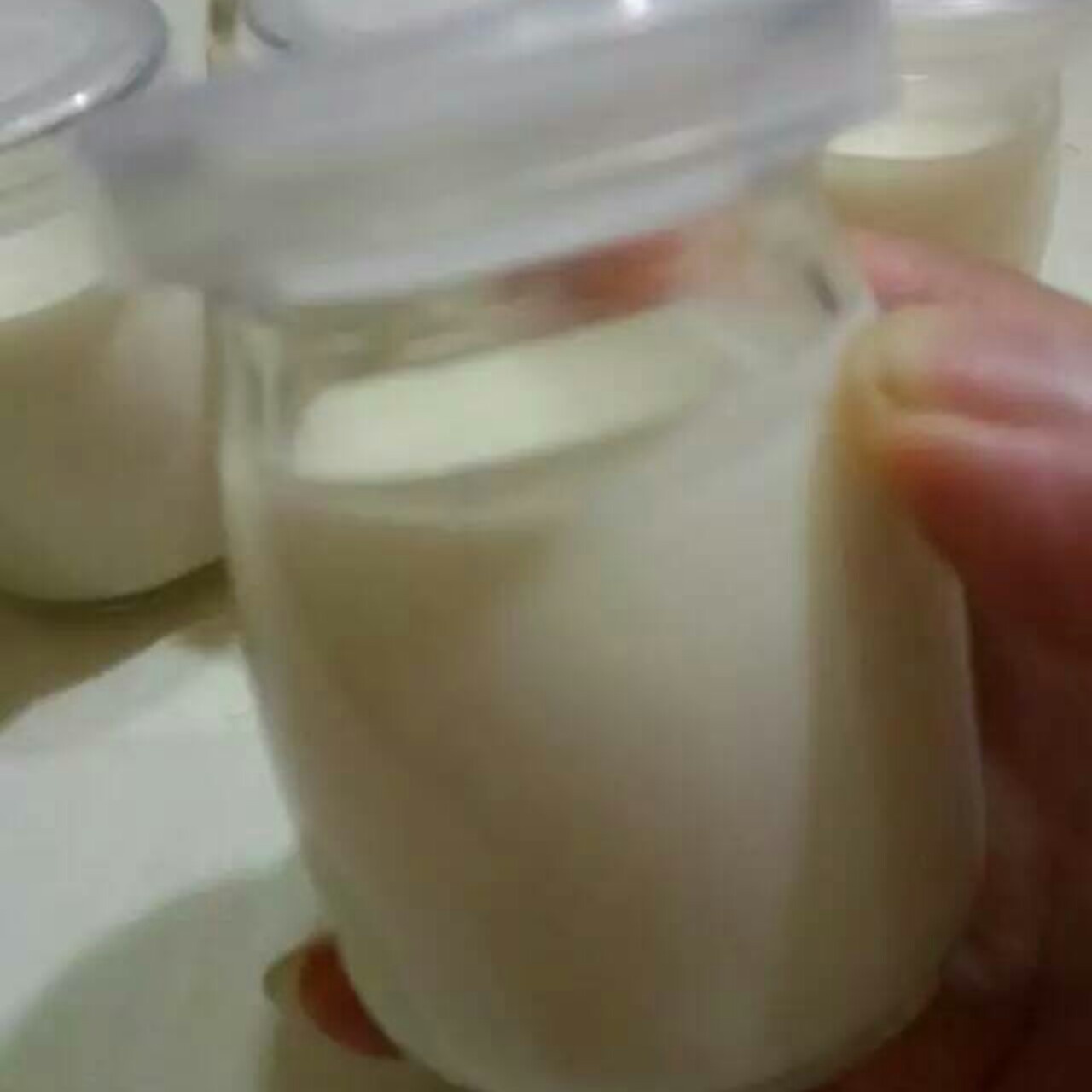 自制酸奶--面包机版