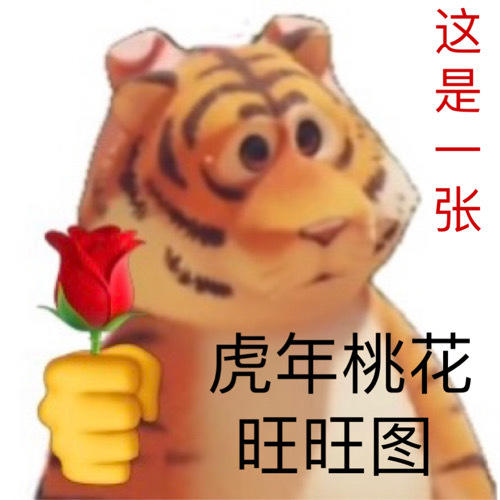 小白刘刘