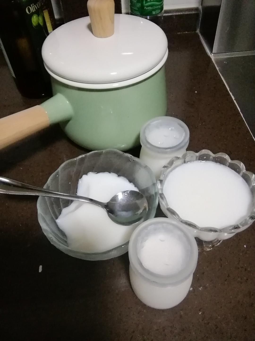 君之的免烤牛奶布丁