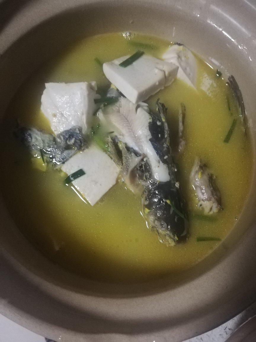 昂刺鱼豆腐汤（黄辣丁）