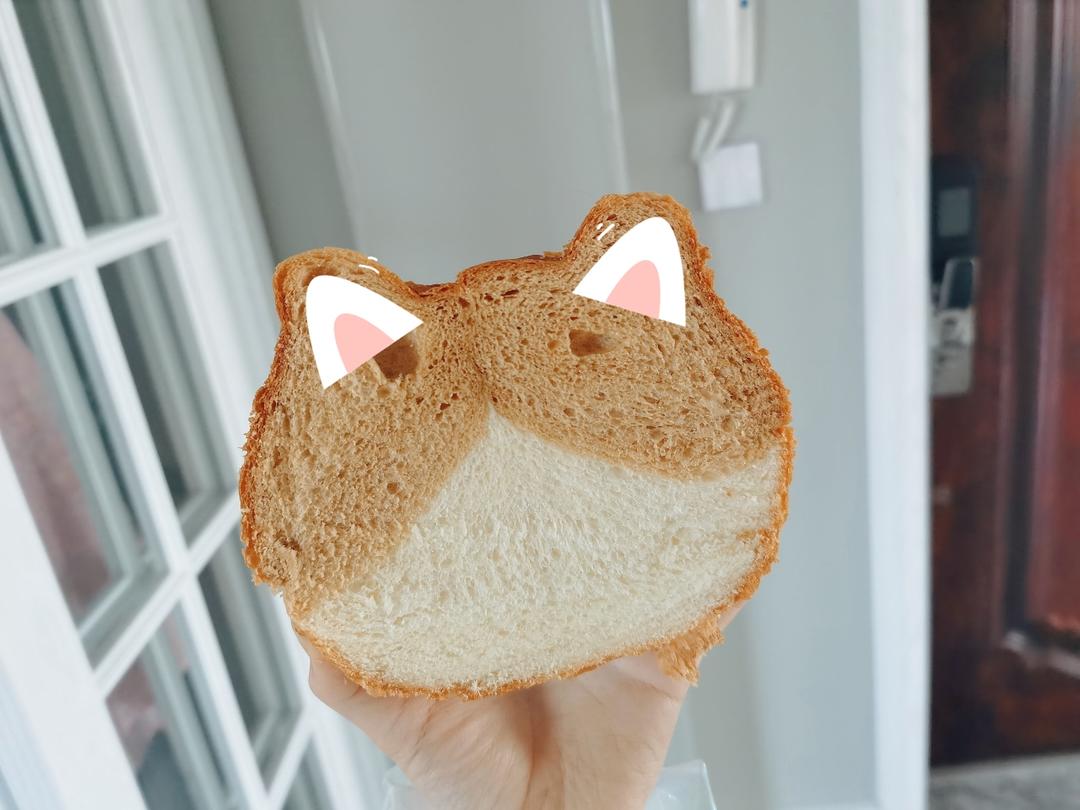 喵星人来袭，烤一个大猫头吐司吧🐱黑糖猫咪的做法