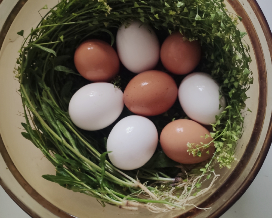 荠菜花煮鸡蛋的做法