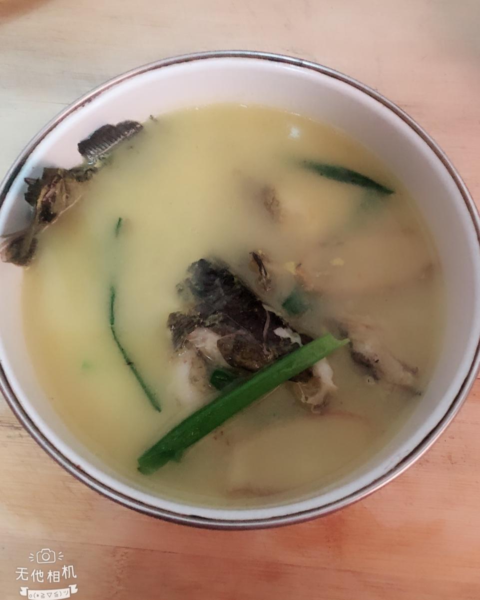 奶白鲫鱼汤