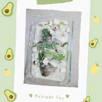 花鲢鱼豆腐汤