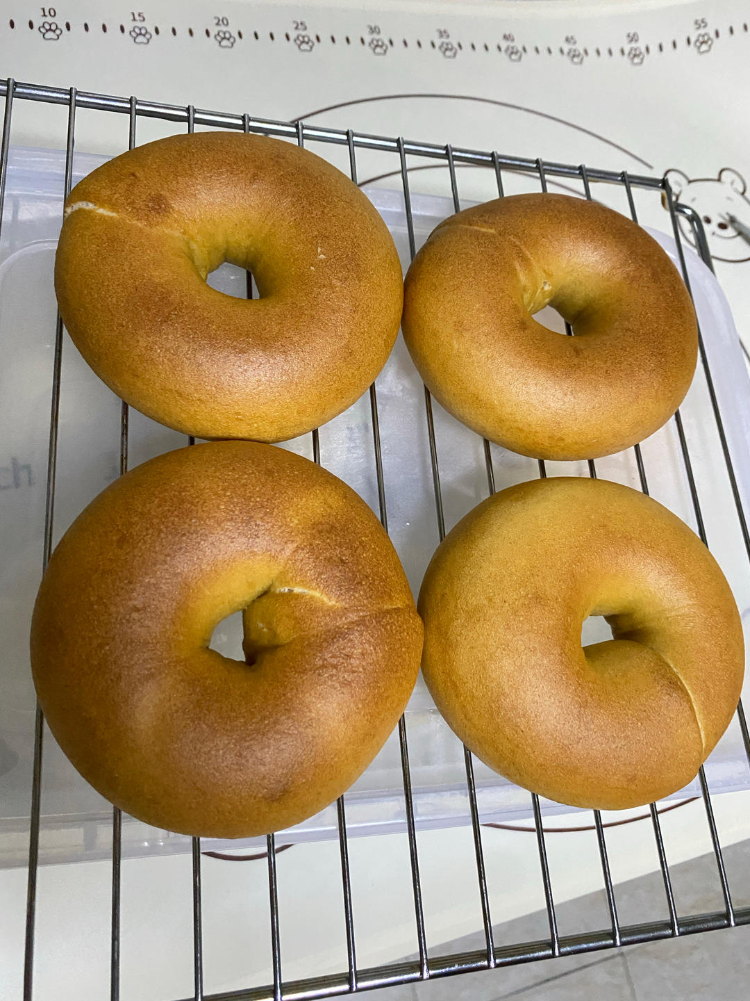 100%天然酵母贝果 - sourdough bagels