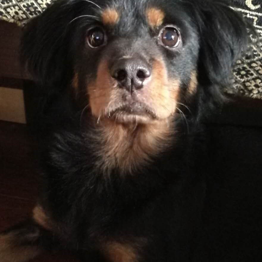 手机用户6261_yr02