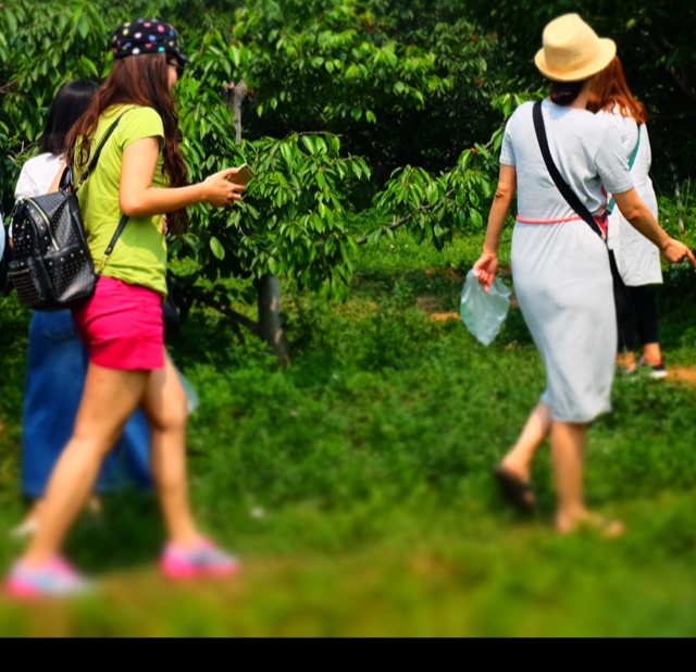初夏の微风山谷