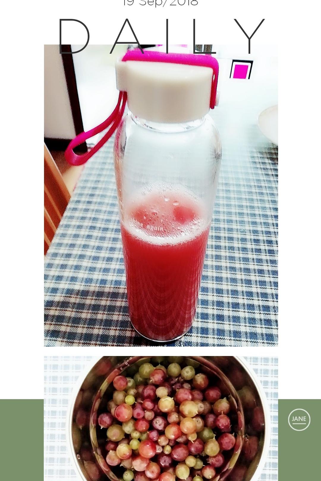 蔫吧苹果女王做的葡萄汁(熬煮版)